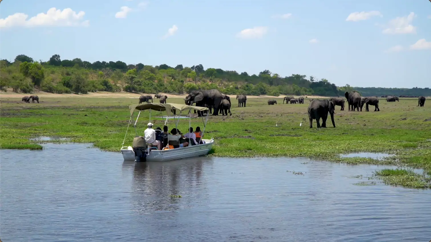 Boat safari on the Chobe River