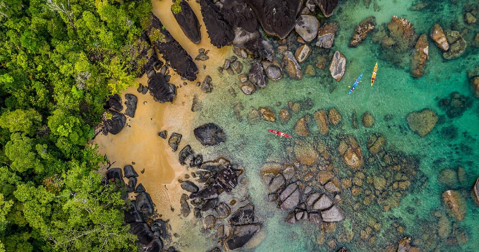 Madagascar: Masoala rainforest to reef