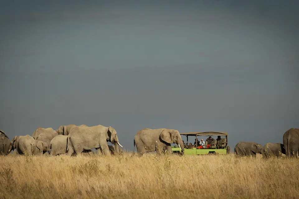 Classic Tanzania: bush & beach safari