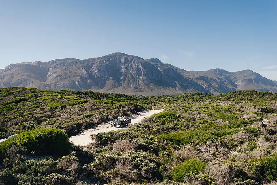 South African honeymoon - coastal escape & Big 5 safari