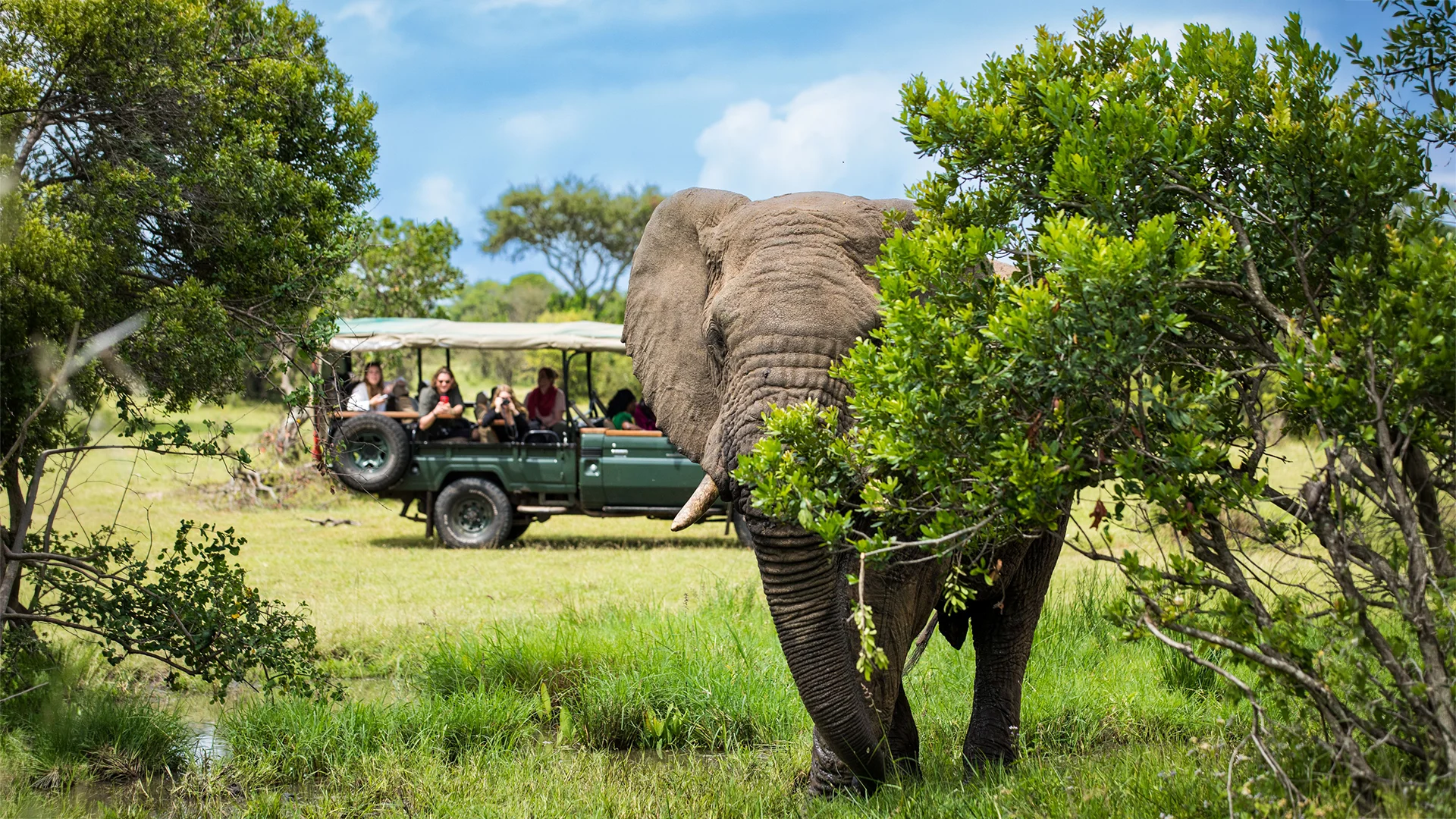 Corporate safari group viewing a bull elephant from an open safari vehicle at Cottar’s Bush Villa in Kenya