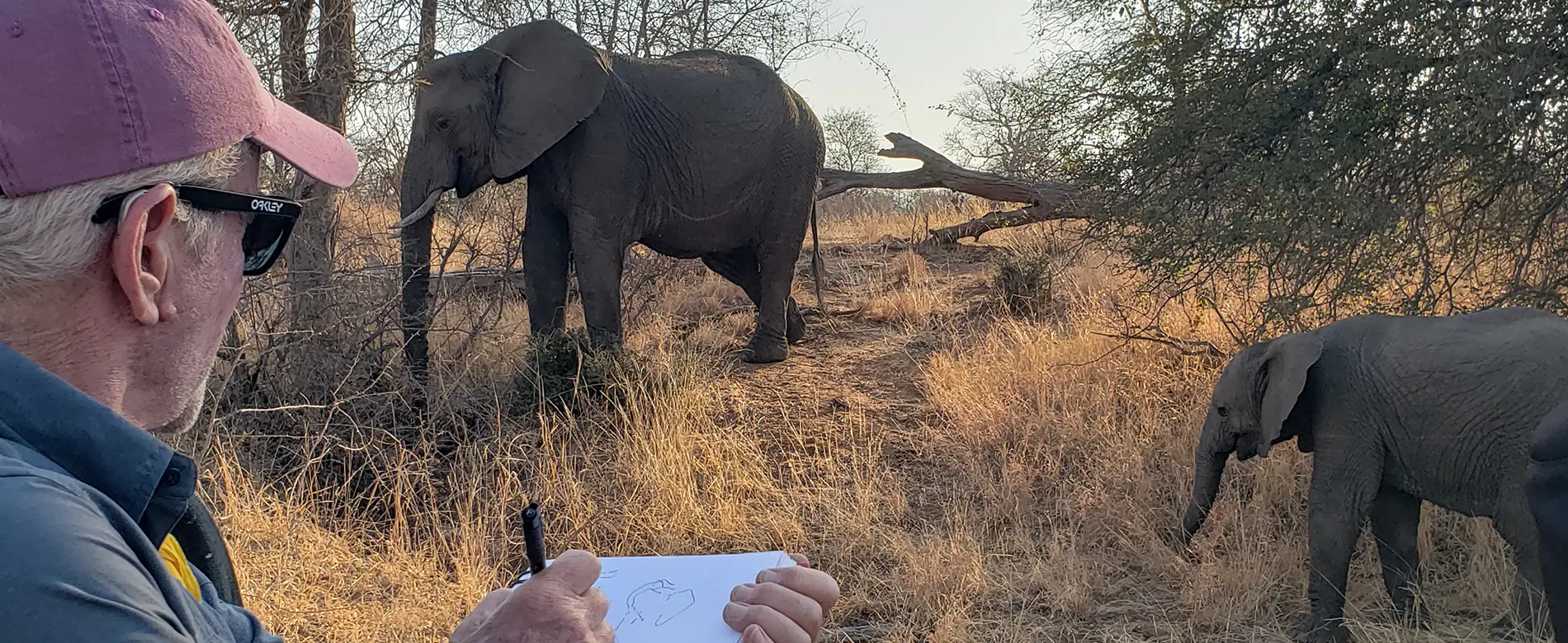 Timbavati art safari