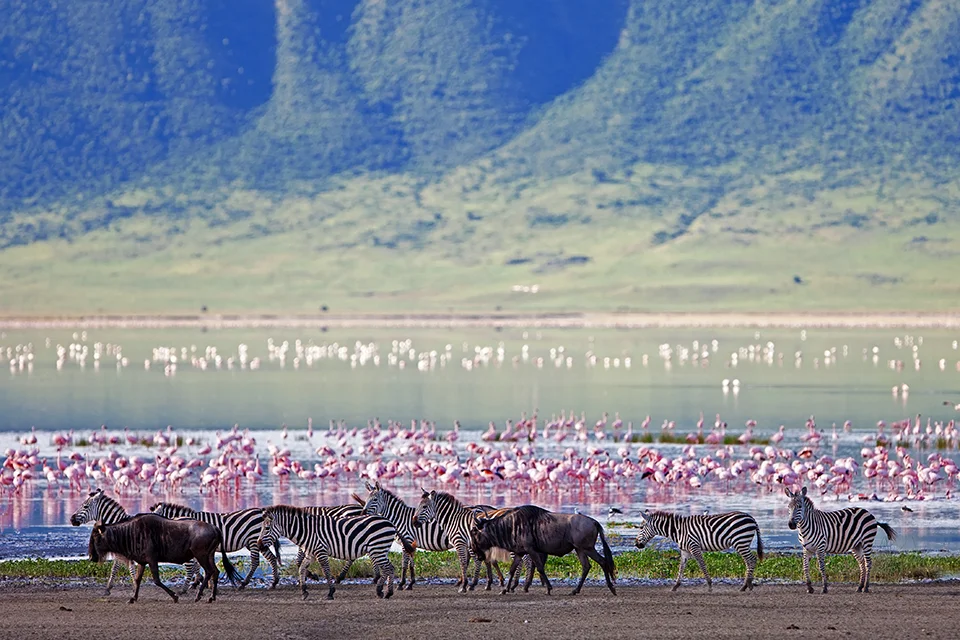 Ngorongoro Crater & Conservation Area
