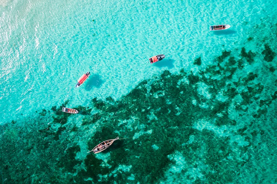 Aerial view of traditional dhow boats floating above turquoise waters and coral reefs along the Kenyan coast, the perfect complement to an East African safari and beach holiday