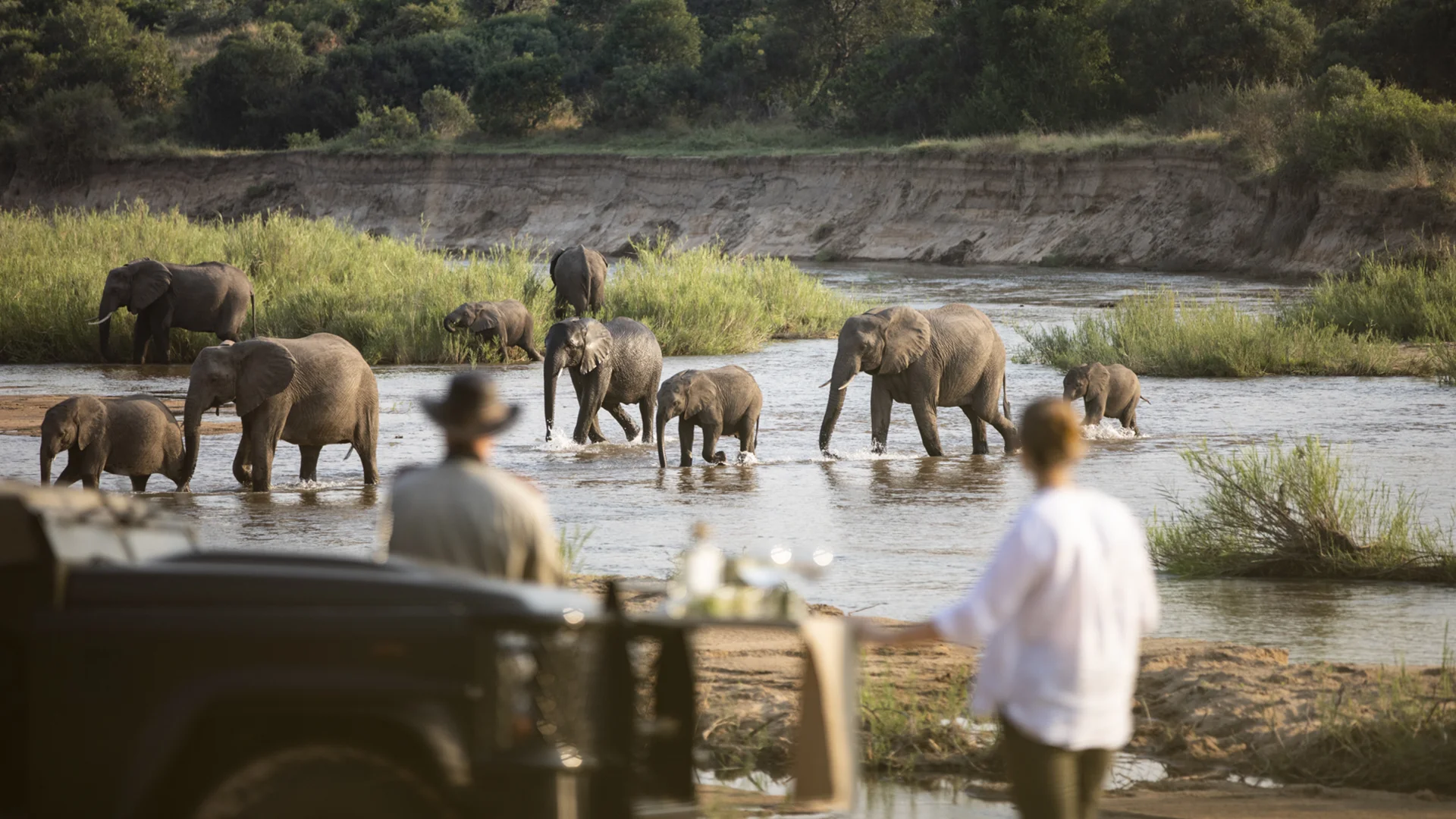 Herd of African elephants crossing a river as safari guests watch from a riverside viewpoint