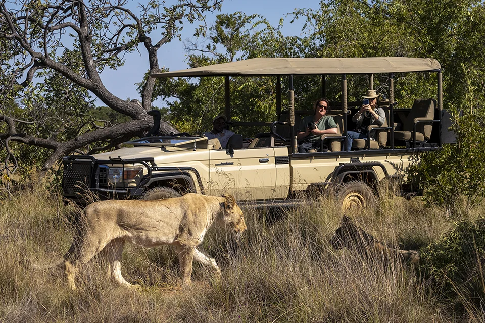 Lapalala Wilderness Reserve