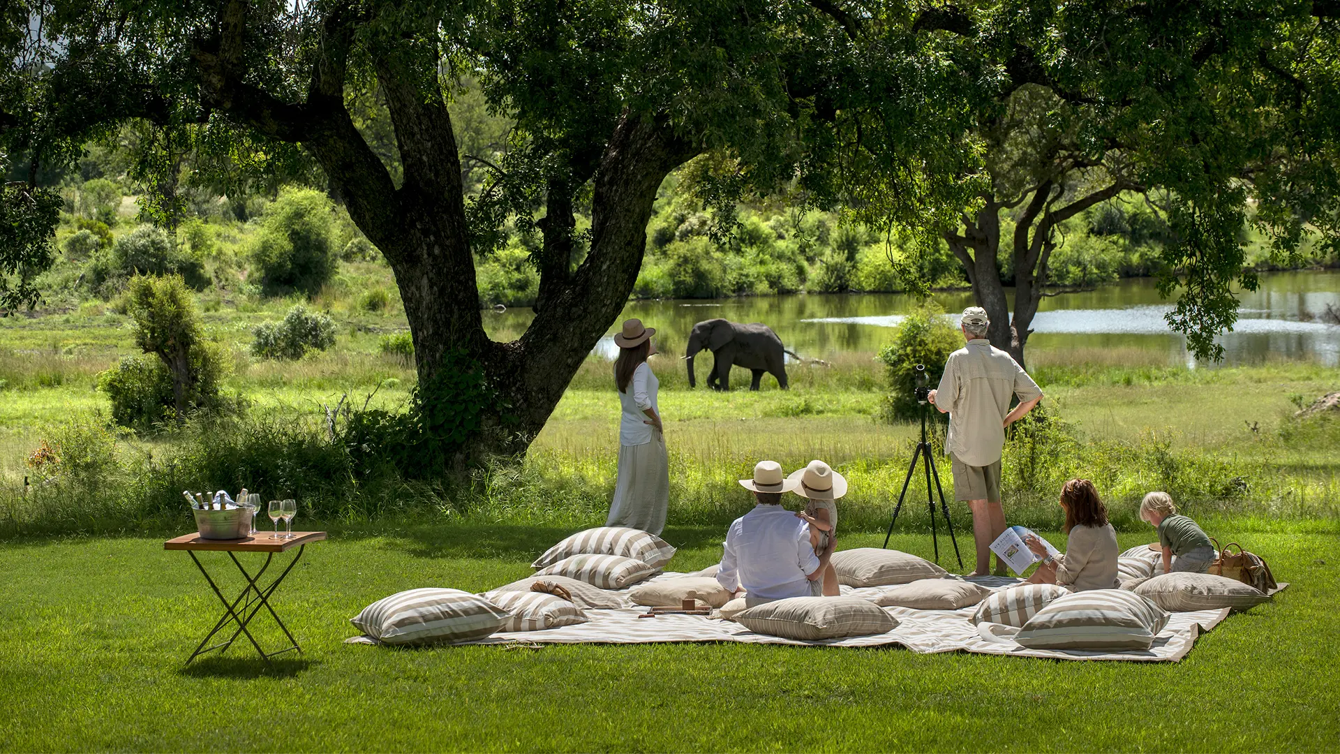 Family enjoying a luxury picnic on the lawn while watching an elephant grazing beside a river on safari