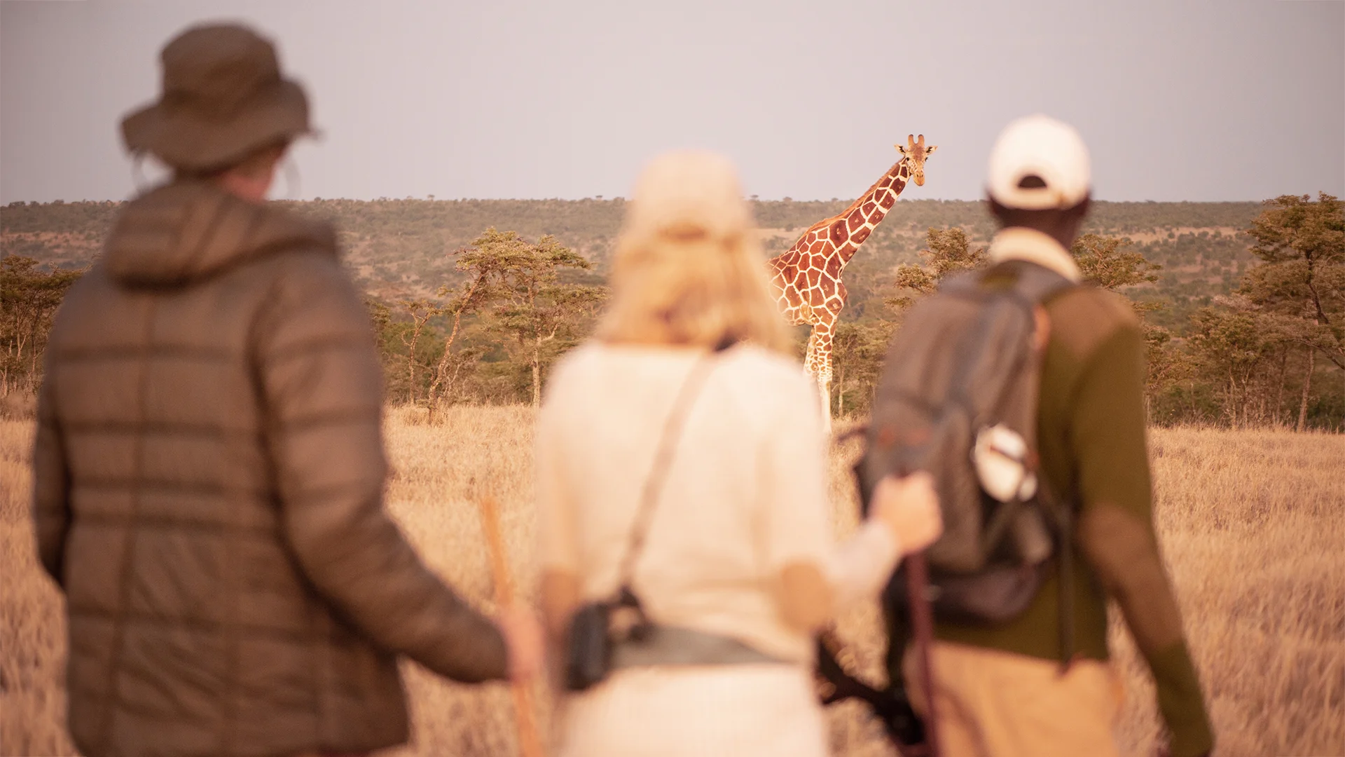 Safari guests on a guided walking safari watching a giraffe across the African savannah