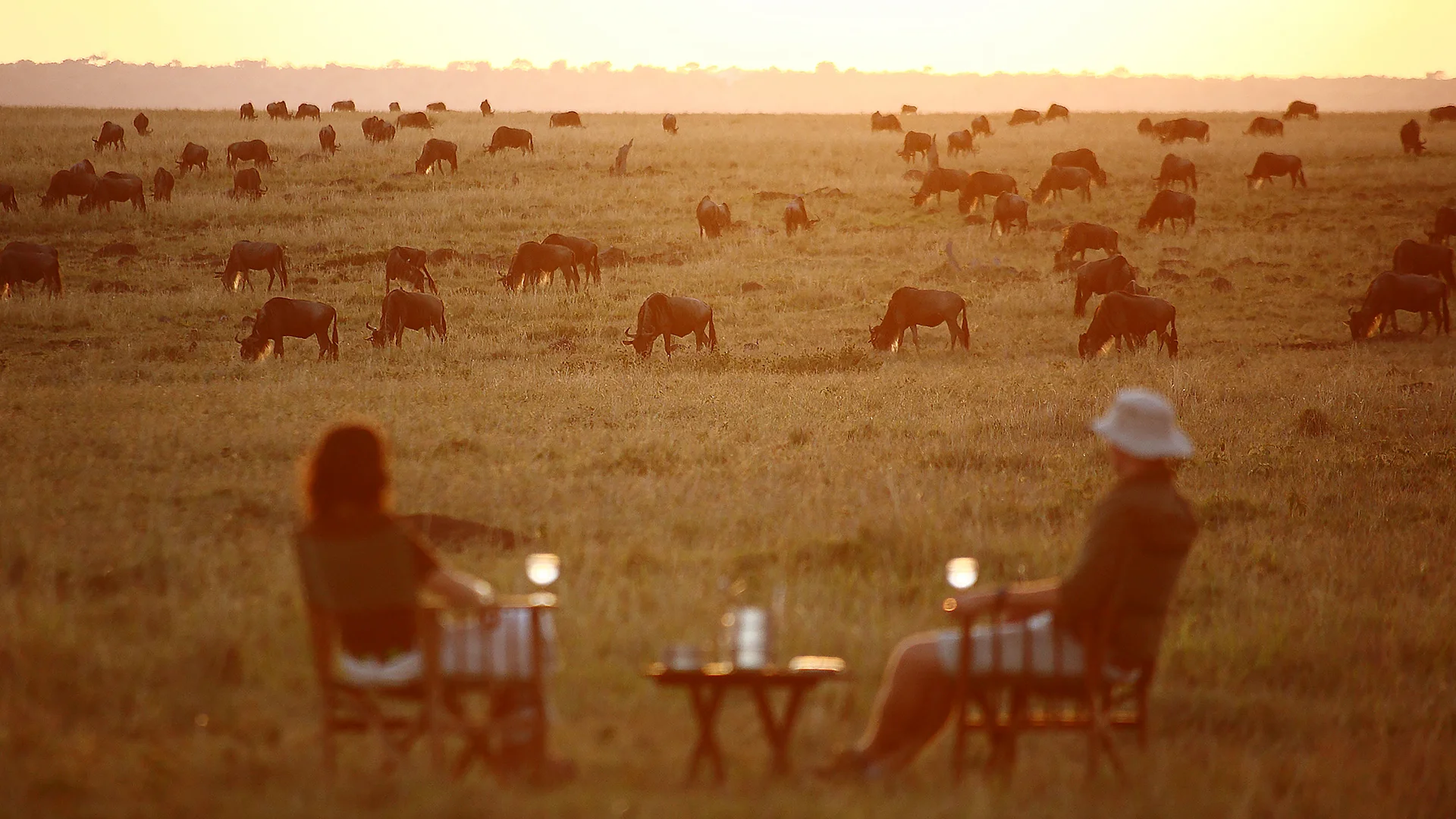 Guests enjoying sundowners while watching a herd of wildebeest graze across the Serengeti plains at sunset