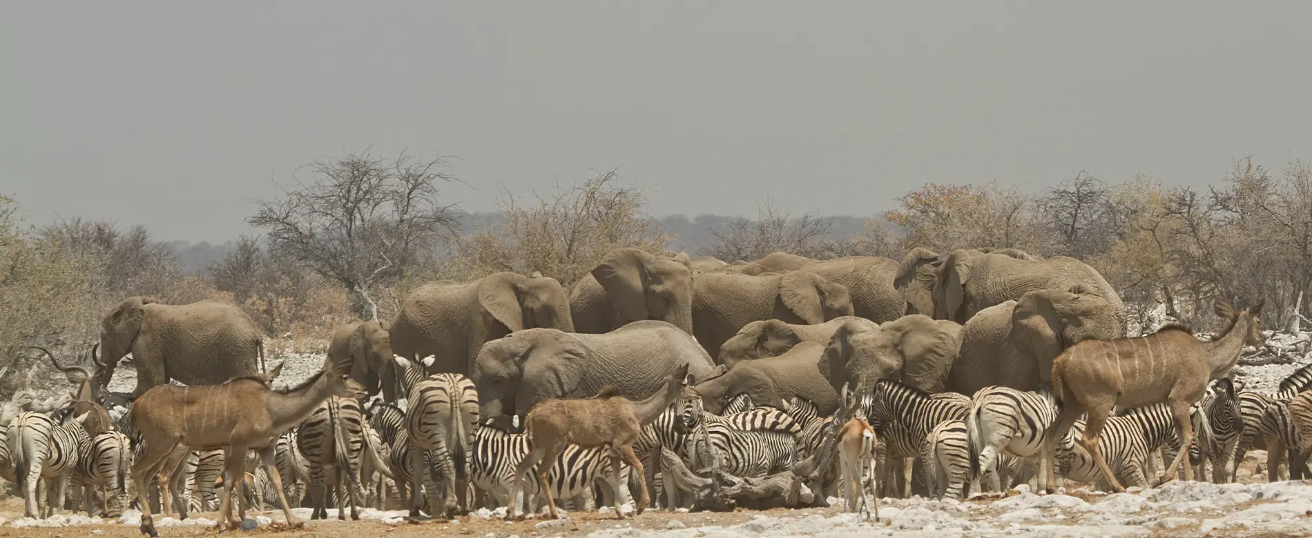 Namibia guided group tour