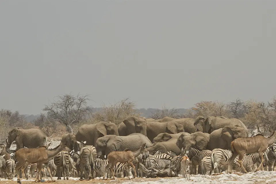 Namibian highlights