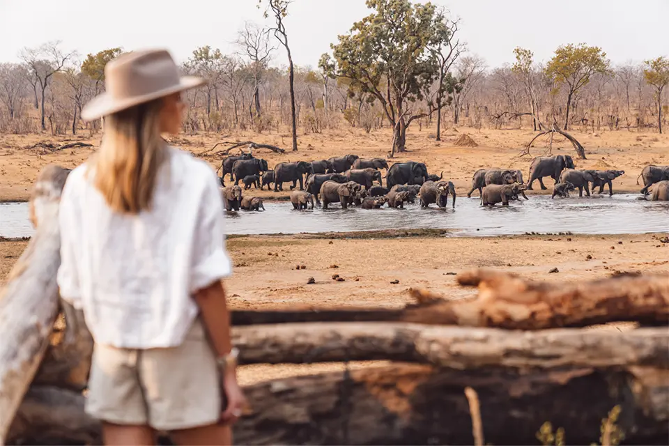 Explore Hwange