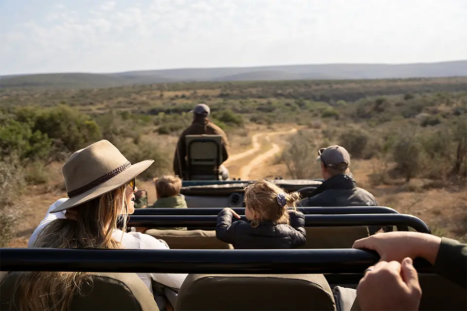 Family Big 5 safari - malaria-free