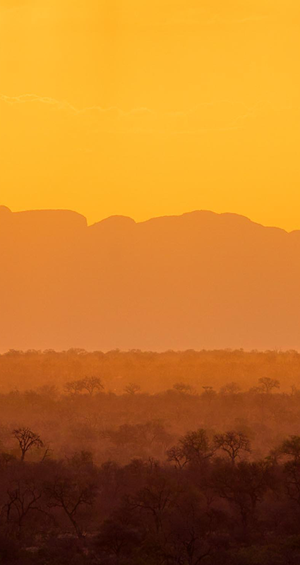 sunset on safari