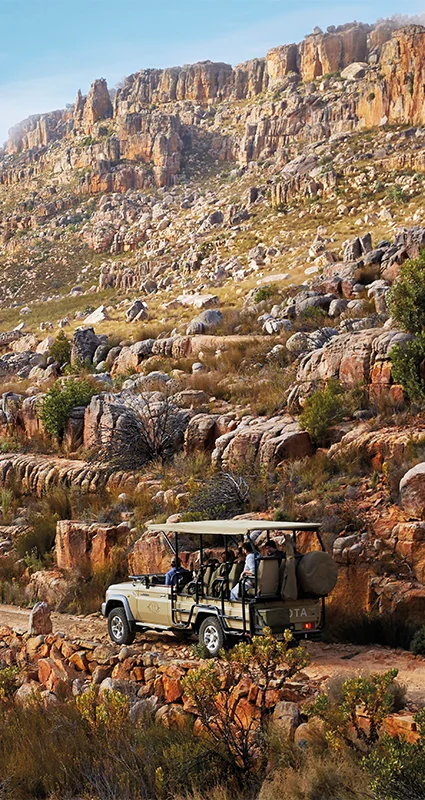Game drive at Bushmans Kloof