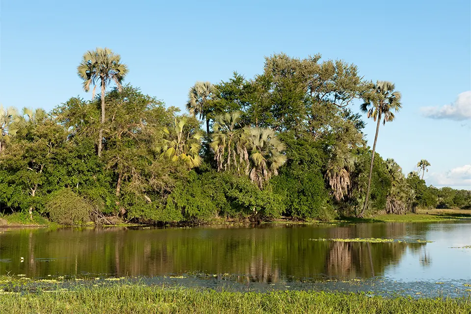Gorongosa National Park