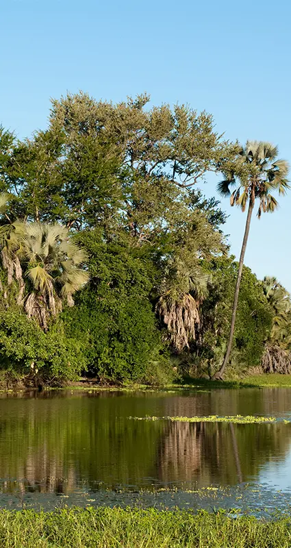 Gorongosa National Park