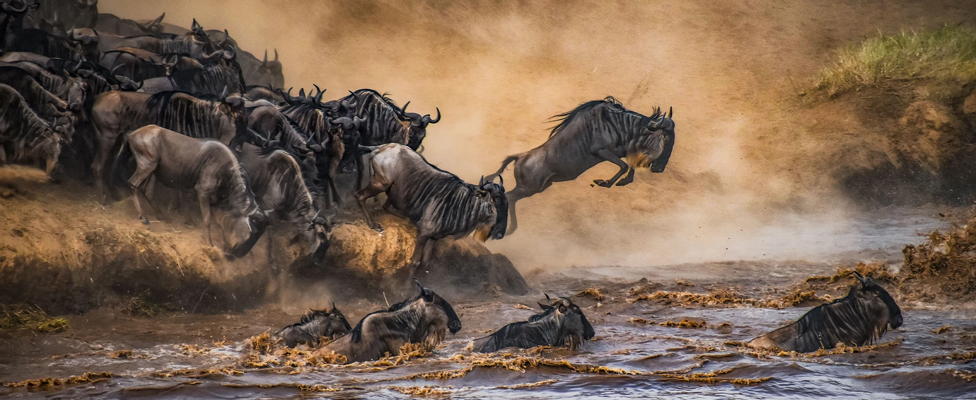 Great migration Kenya