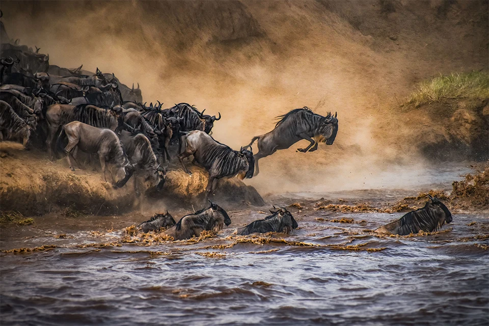 The iconic Kenya safari