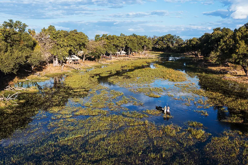 Cape Town, Winelands & Okavango Delta