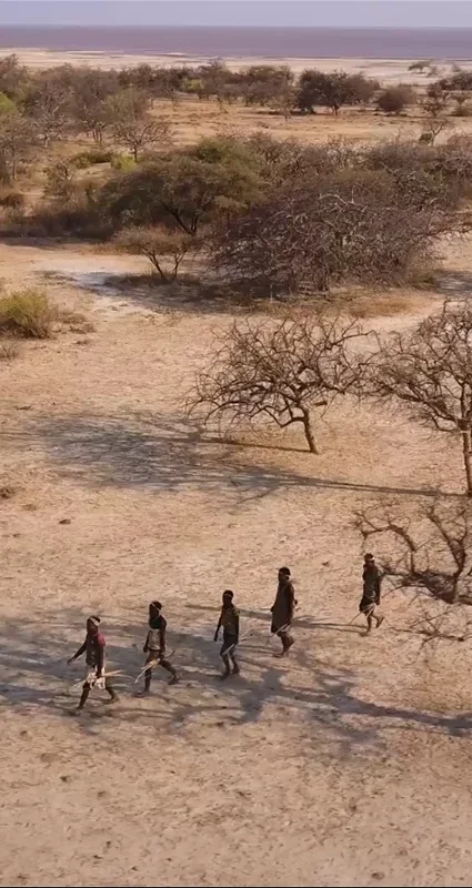 A group of Hadza people walk across the dry, sparsely wooded landscape near Lake Eyasi in Tanzania