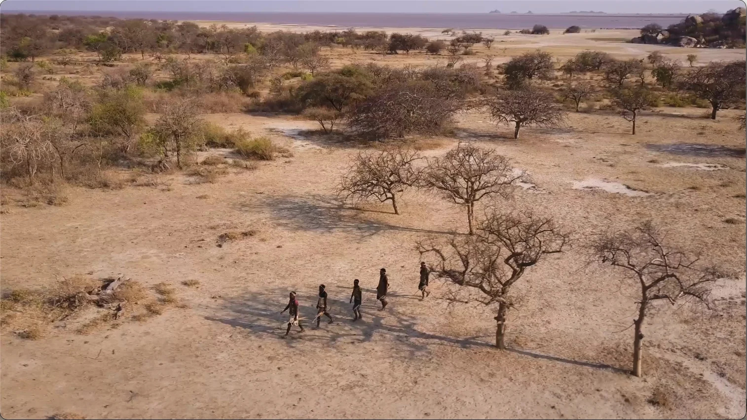 A group of Hadza people walk across the dry, sparsely wooded landscape near Lake Eyasi in Tanzania
