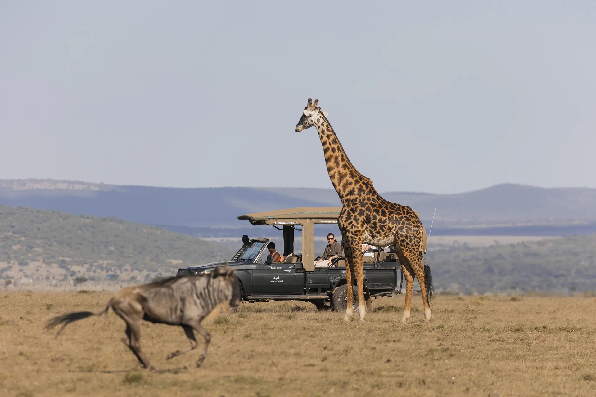 Great Migration private safari vehicle