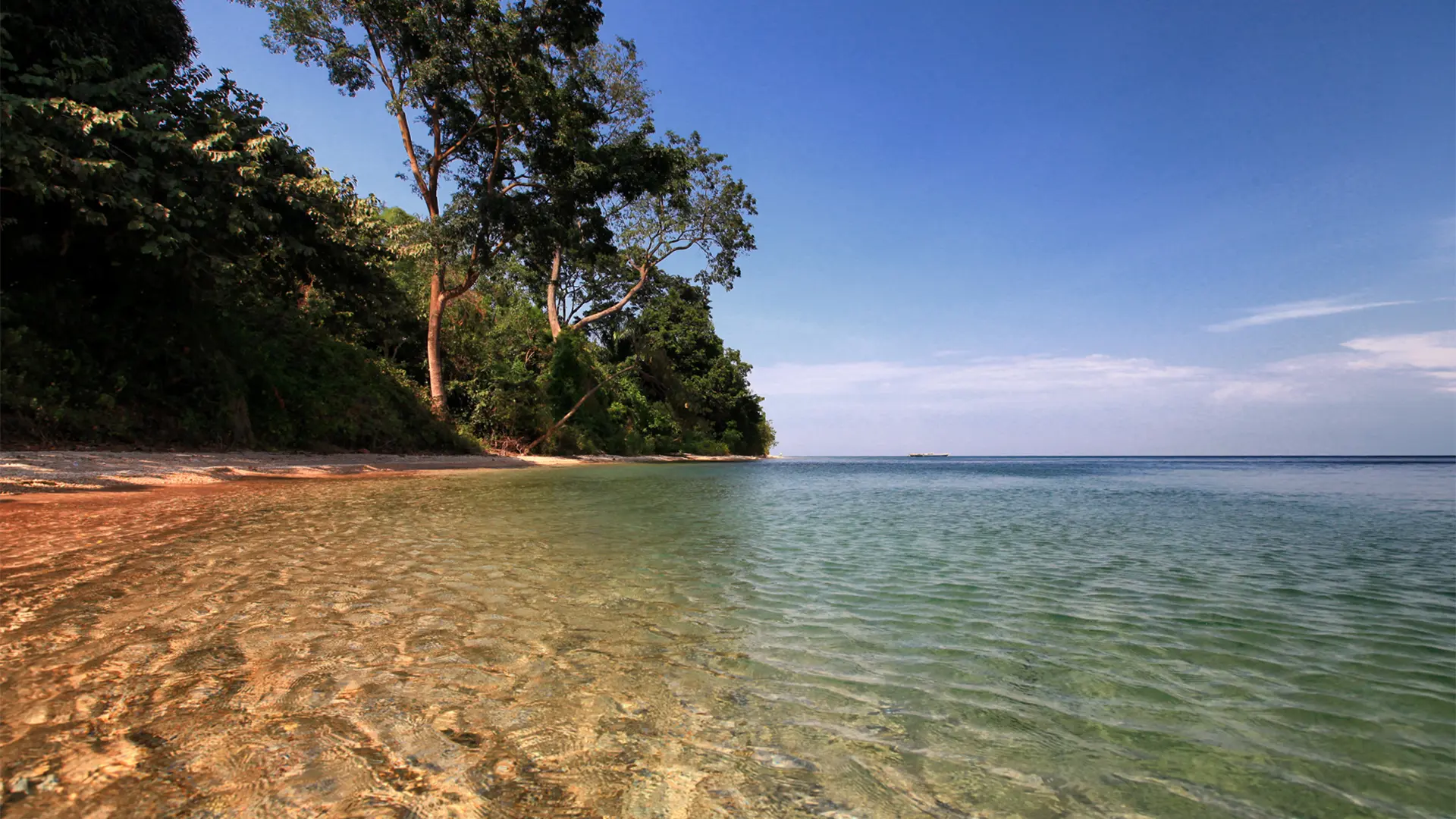 Sandy beach and clear waters along the shore of Gombe Stream National Park, Tanzania