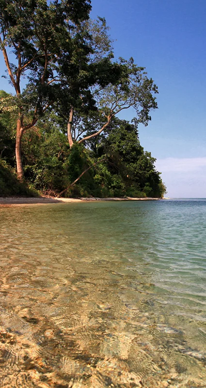 Sandy beach and clear waters along the shore of Gombe Stream National Park, Tanzania