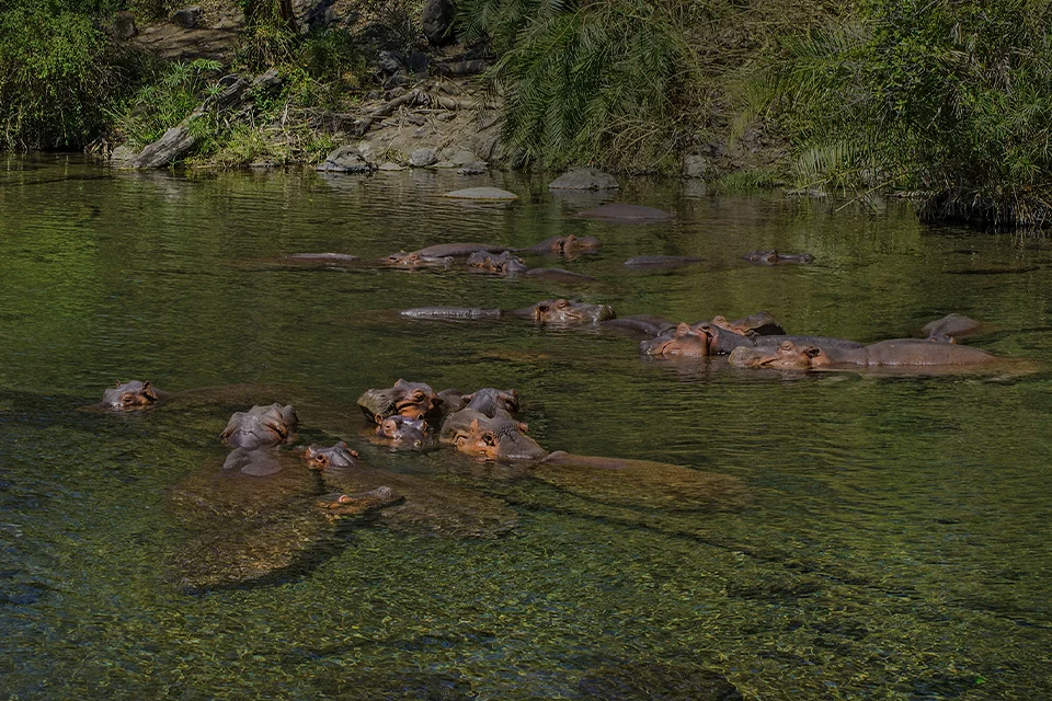 Tsavo West National Park