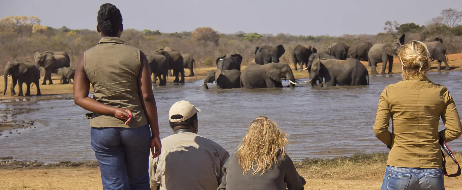 Zimbabwe safari package