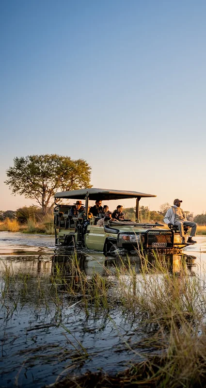 Safari vehicle crossing shallow floodwaters in Botswana's Okavango Delta during a golden sunset game drive