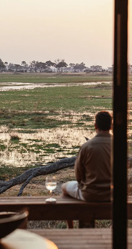 Guest enjoying sunset views from a luxury safari lodge overlooking elephants in the Okavango Delta, Botswana