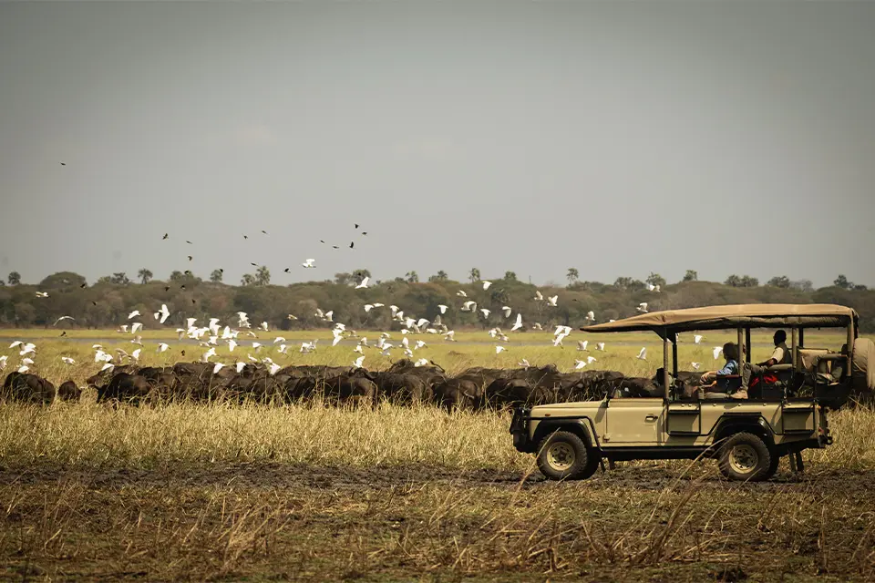 Katavi National Park