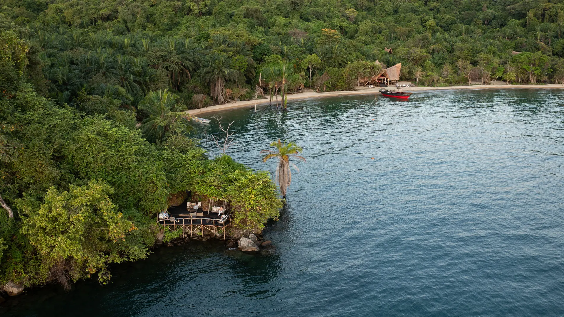 Tanzania chimp trekking