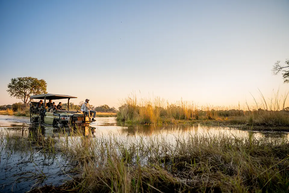 Botswana game drive