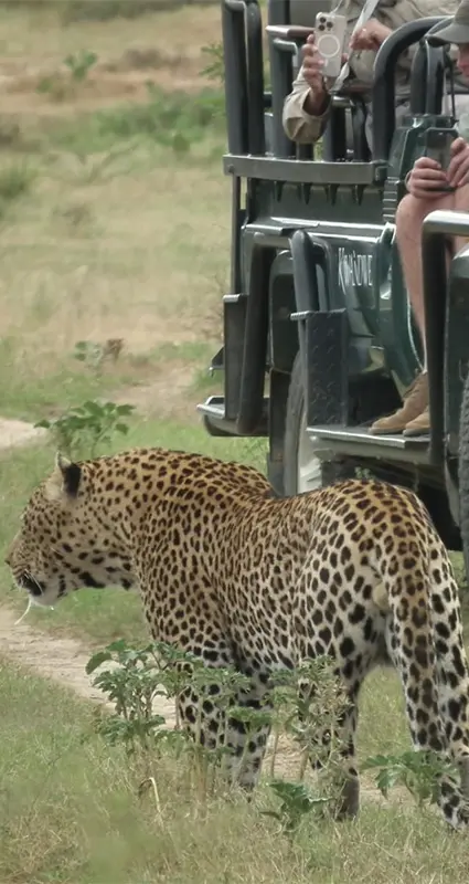 Kwandwe Private Game Reserve