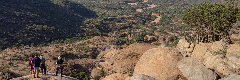 Laikipia safari