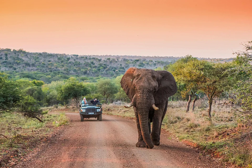 Manyoni Private Game Reserve