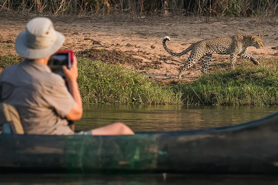 South Luangwa and Lower Zambezi explorer