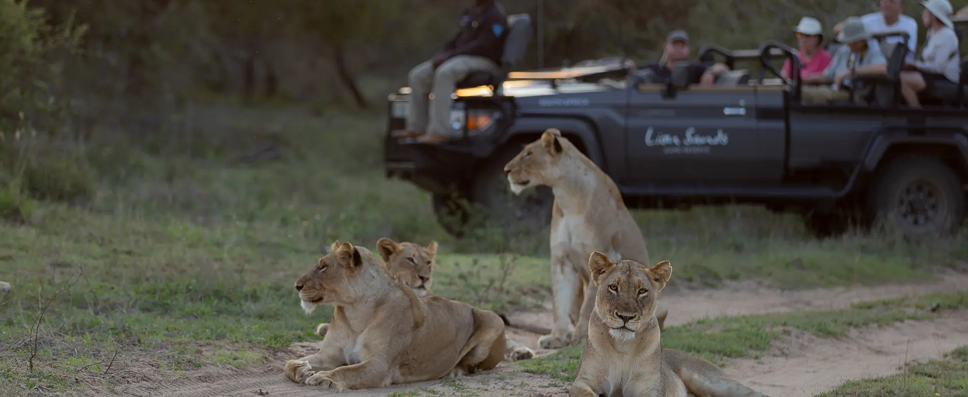 Greater Kruger luxury safari