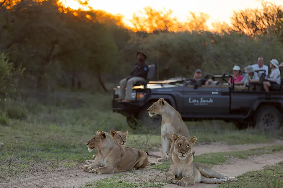 Cape Town to Kruger