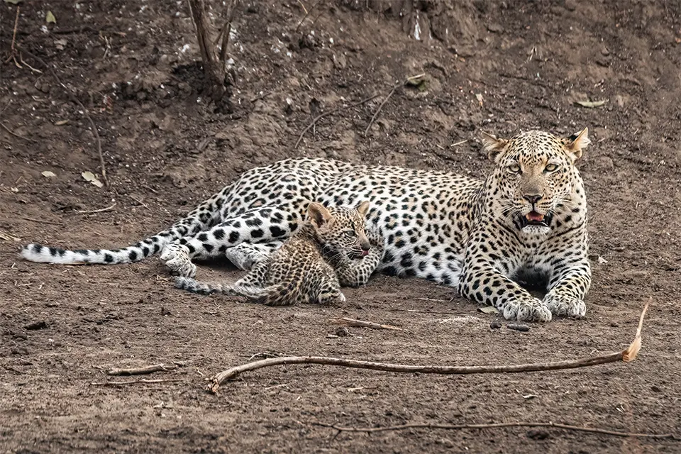 Remote Lower Zambezi