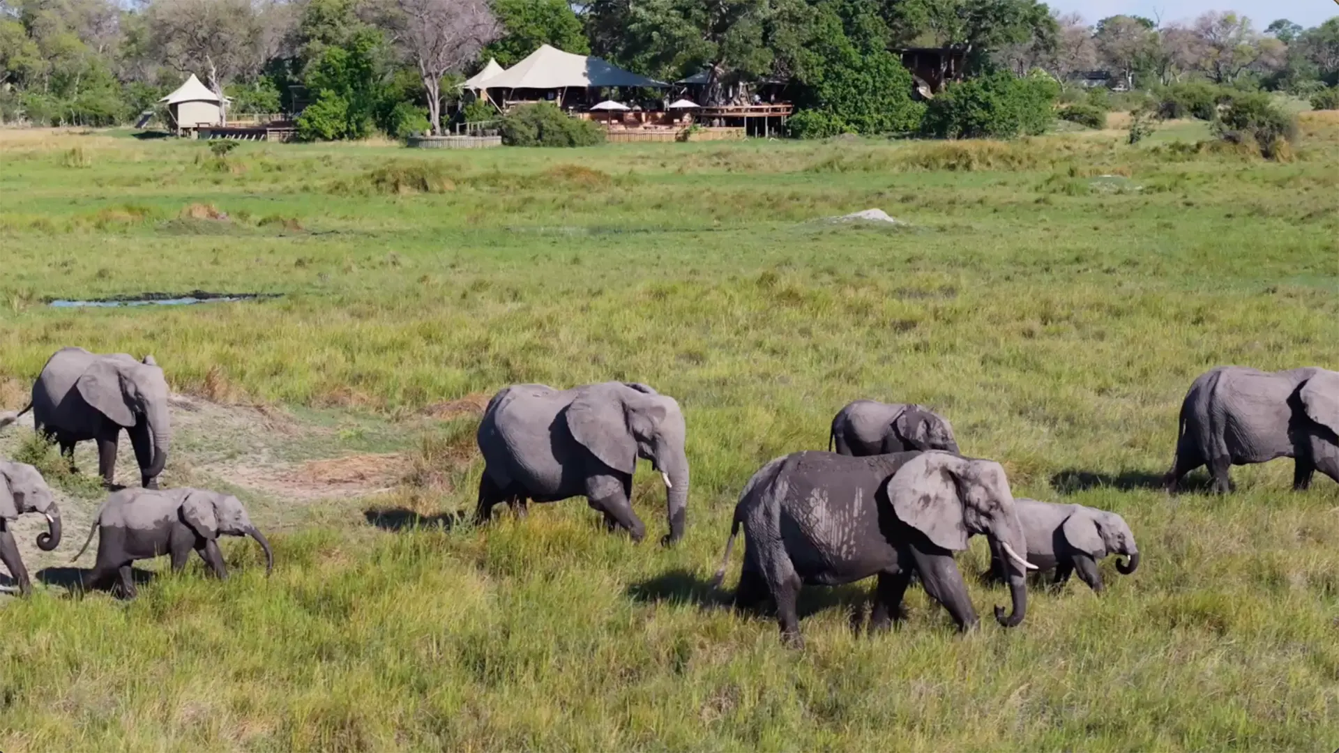 Luxury safari package