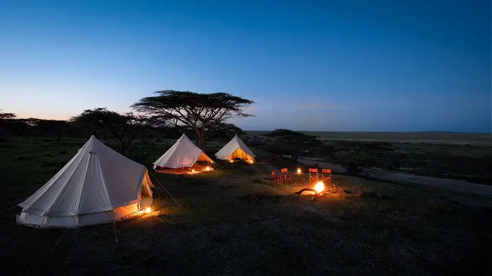 Serengeti fly camping