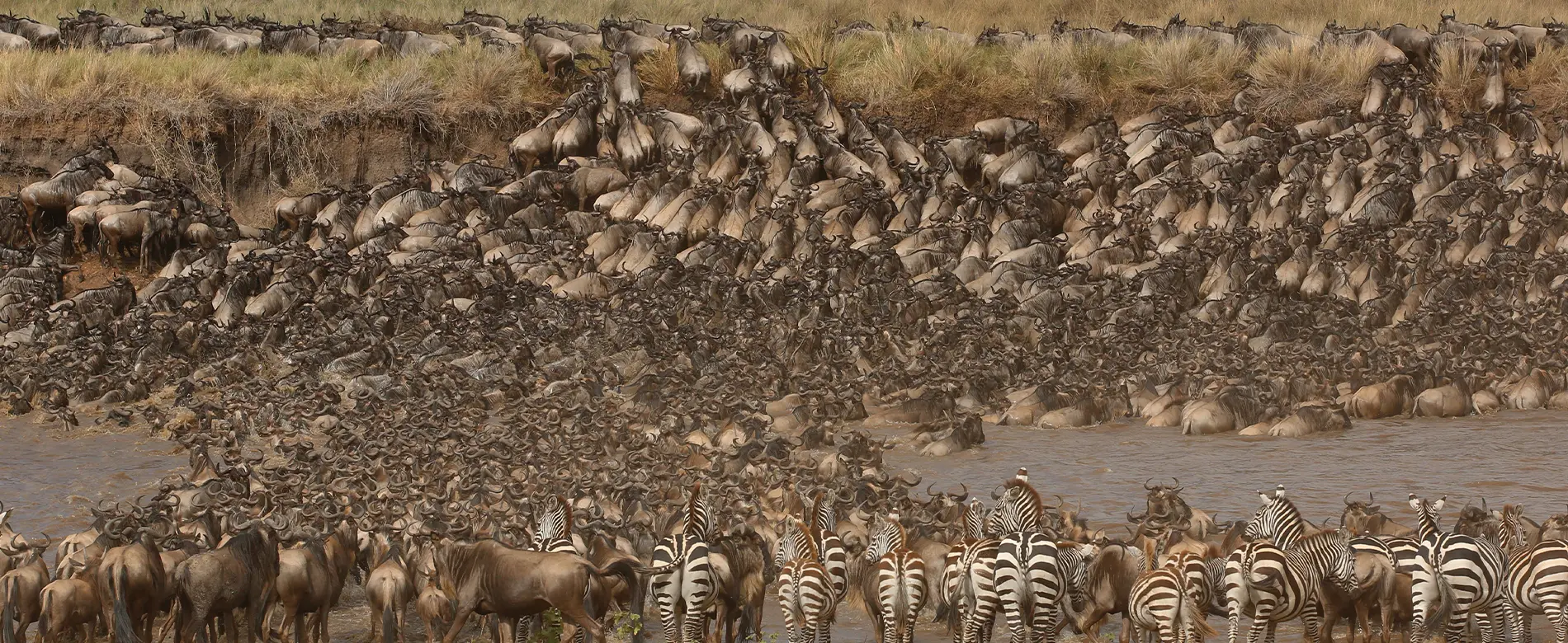 Maasai Mara Big 5 safari