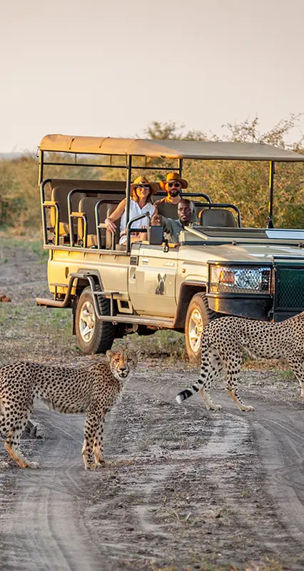 sustainable safaris