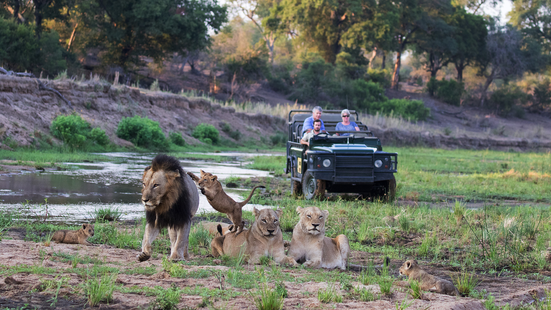 Big 5 Kruger