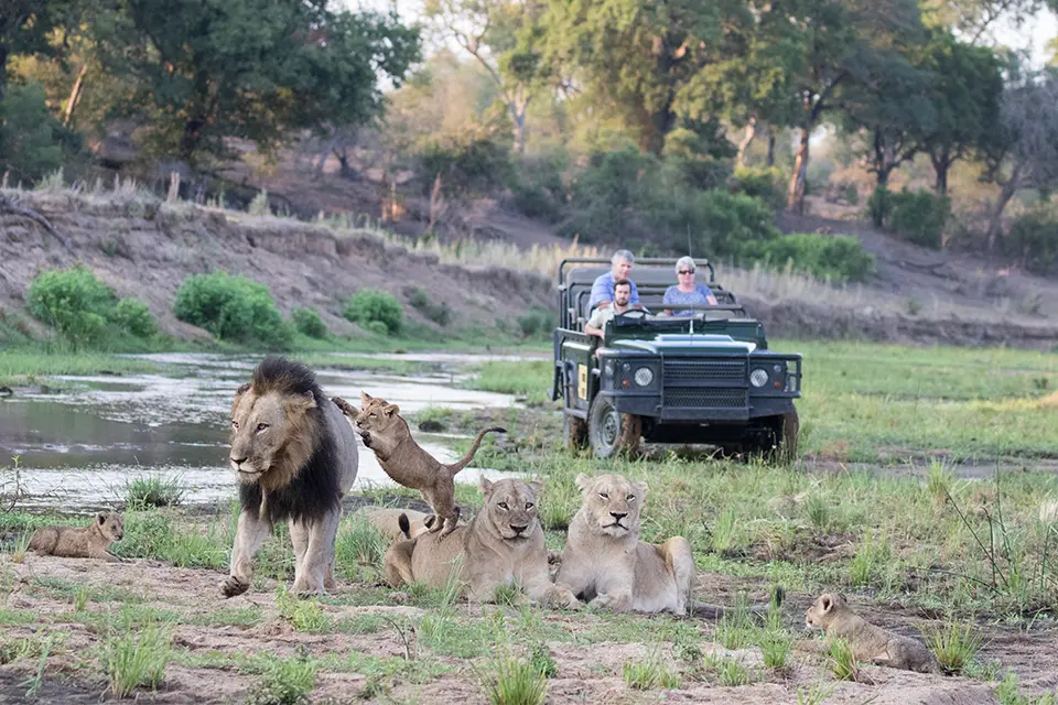 Mashatu & MalaMala Big 5 safari
