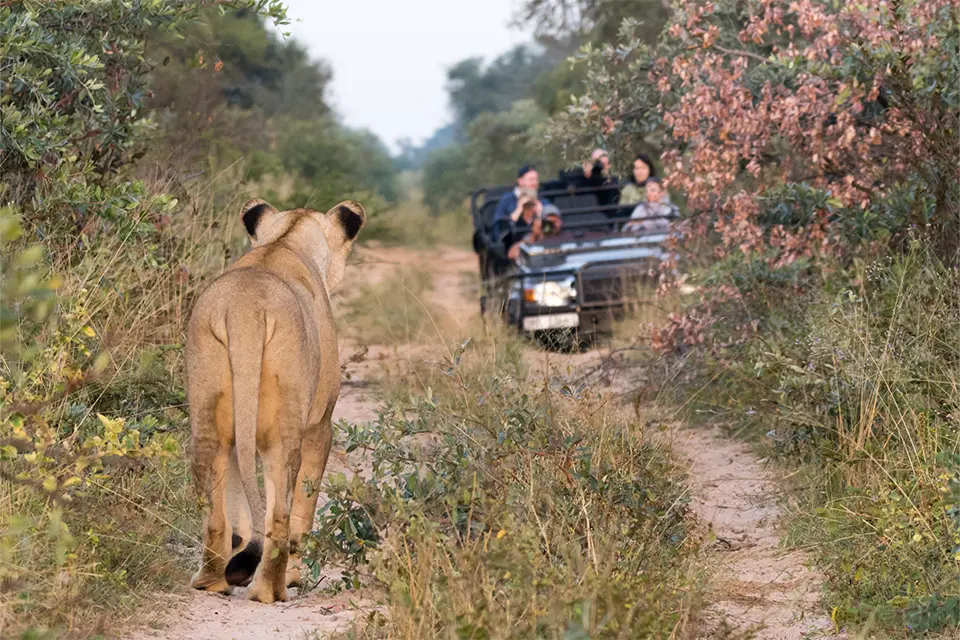 Malaria-free safaris